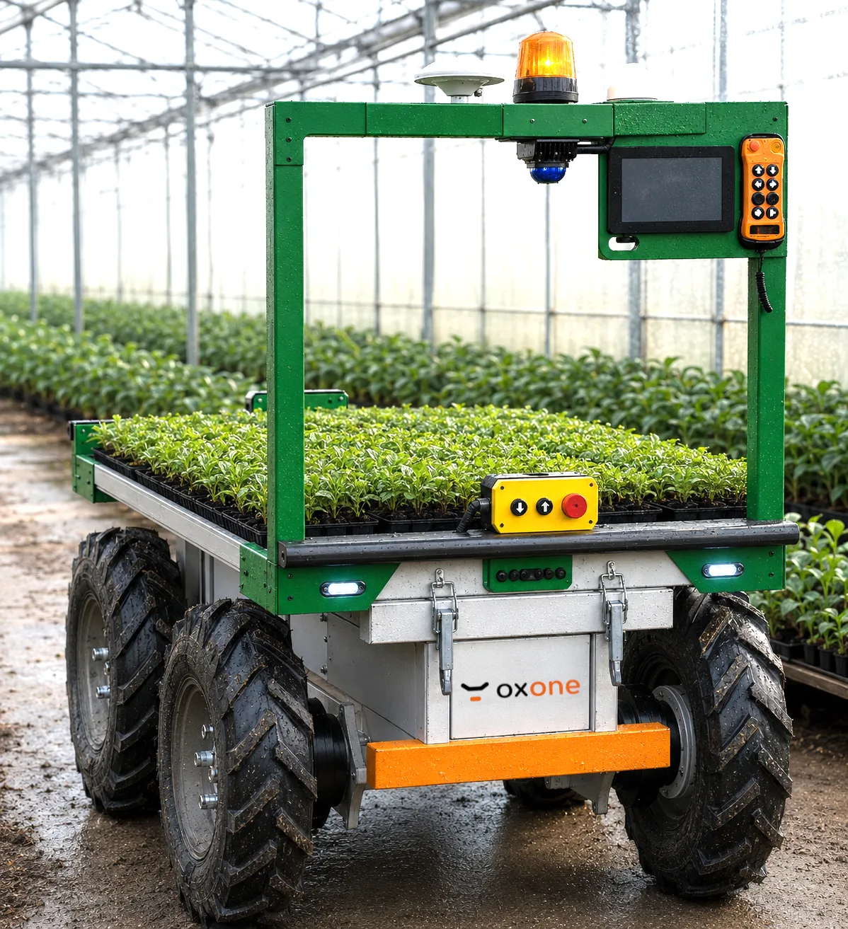 oxone in a glasshouse aisle loaded with seedling trays